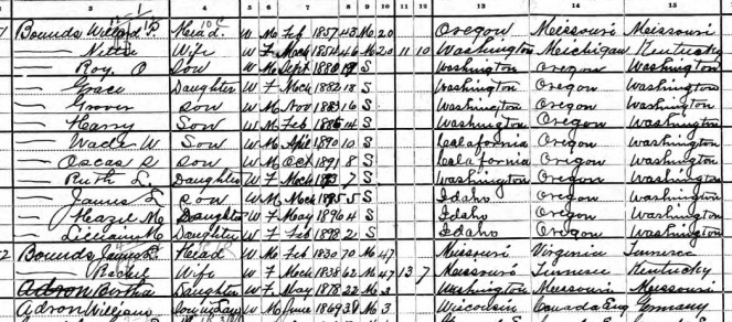 Bounds Family 1900 Census